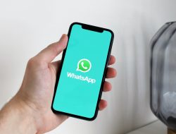 5 Cara Mengembalikan Kontak WhatsApp yang Hilang Anti Ribet