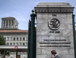 Ekonom WTO Prakirakan Suramnya Perdagangan Dunia 2023