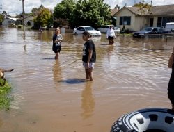 Harga Pangan Australia Melonjak karena Banjir Merusak Daerah Pertanian Utama