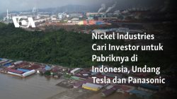 Nickel Industries Cari Investor untuk Pabriknya di Indonesia, Undang Tesla dan Panasonic