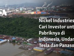 Nickel Industries Cari Investor untuk Pabriknya di Indonesia, Undang Tesla dan Panasonic