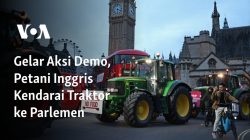 Gelar Aksi Demo, Petani Inggris Kendarai Traktor ke Parlemen 