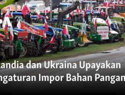 Polandia dan Ukraina Upayakan Pengaturan Impor Bahan Pangan 